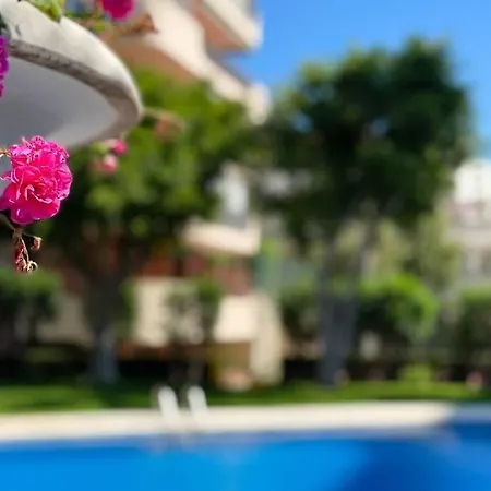 Encantador Y Coqueto Loft A 8 Min. De La Playa. Alicante Exterior photo